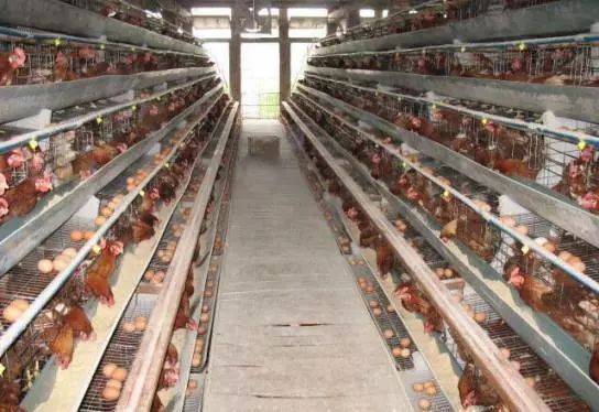 保“管”你最爱,因我无处不在!3